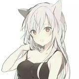 叶叶