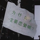 ylq无真爱