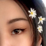 Lijié