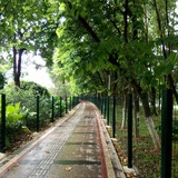 Natsunoame