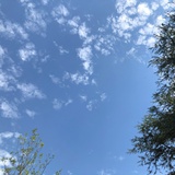越来越小