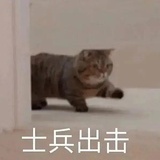 不吃大闸蟹的鲸鱼