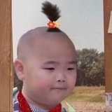骆驼
