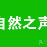 冰麒麟