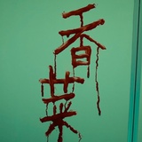 中华田园企鹅