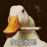 铁蜀风