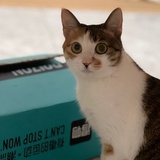 当一只智慧的狗