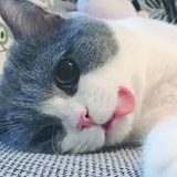 奈非天