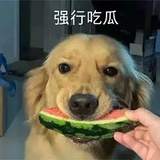 退堂鼓演奏大师