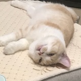 深深