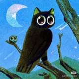 莱茵猫头鹰🦉