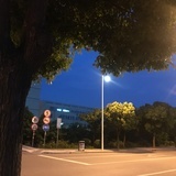 Kimimaru520