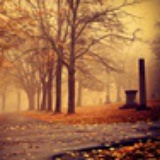 twilights_omen