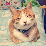 今天吃什么好呢