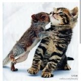 一切顺利大吉利