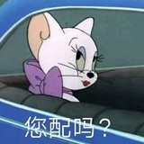 被驯服的猫