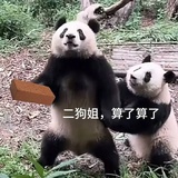 茉莉雨