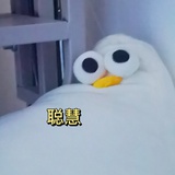 木星驻地小狗