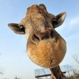 晨昏