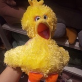 博多