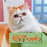 柚子code