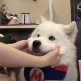 昵称是卡夫卡