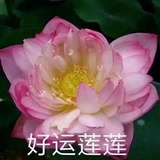 已注销