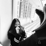 花与爱丽丝Lily