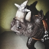 Chained-Rhino