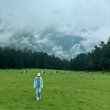 马一林