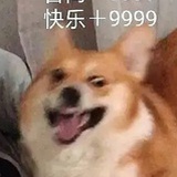 酗酒小熊