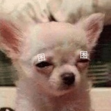 十月是什么颜色