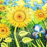 荷的姿势～Lily