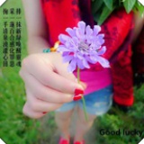 子依