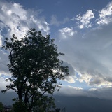 廼莹