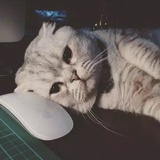 cc萌琪琪
