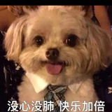 蒲公英和风