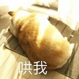 傻不拉✂️