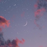 爱爬树的鱼