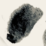 fragment