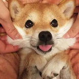 微了个微