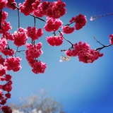April
