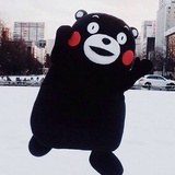 艾克里里