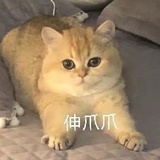 玛玛哈哈