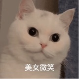 嘻嘻