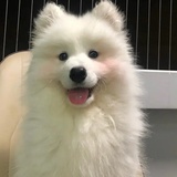 什么事今生挚爱