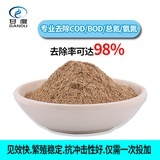 污水处理菌种