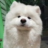 拉力辣椒