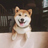 乐大人