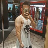 豆子鼓励猪
